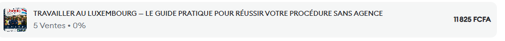 Guide pratique pour travailler au Luxembourg. Un guide à fort potentiel : j’ai généré 11 000 FCFA en 5 jours  avec ce produit. Le prix d’aujourd’hui vous donne droit au guide et à la vidéo pour tout lancer de suite.